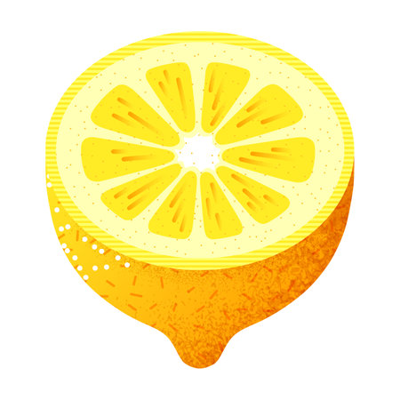 Vector illustration of halved lemon against white background Minimalist vector image of cut halved fresh yellow lemon isolated against white backgroundのイラスト素材