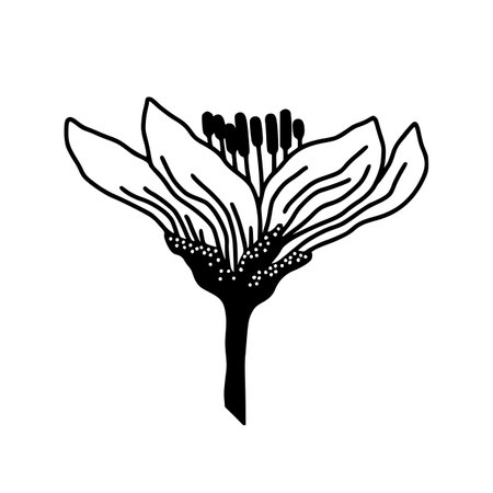 Linear vector icon of tender flower against whiteのイラスト素材