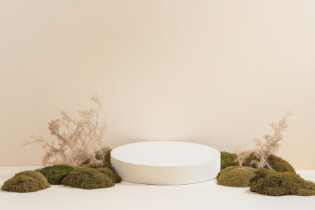 Minimalistic Mockup Design with Neutral Tones and Organic Elements for Print, Card, Poster Displayの素材