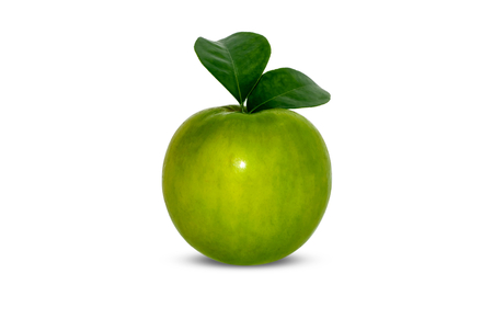 Fresh juicy jujube isolated on white backgroundの写真素材