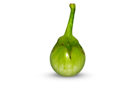 Eggplant isolated on white backgroundの写真素材