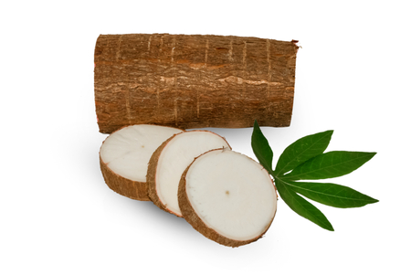 Fresh cassava on isolated on white backgroundの写真素材
