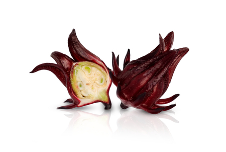 Roselle fruit  isolated on white backgroundの写真素材