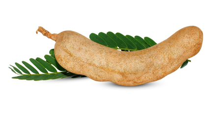 tamarind pod isolated on white backgroundの写真素材