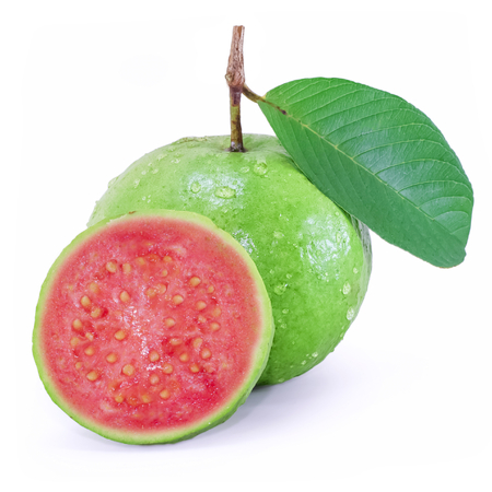 guava fruit isolated on white backgroundの写真素材