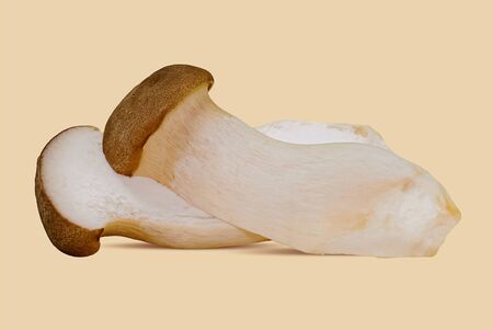 King oyster mushroom (Pleurotus eryngii) on whiteの写真素材