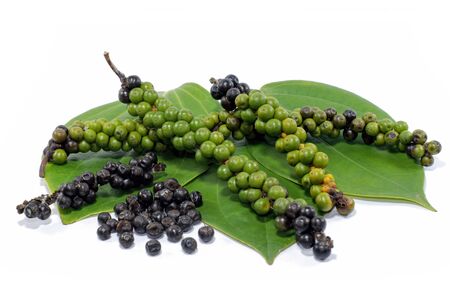 Fresh green piper nigrum isolated on white backgroundの写真素材
