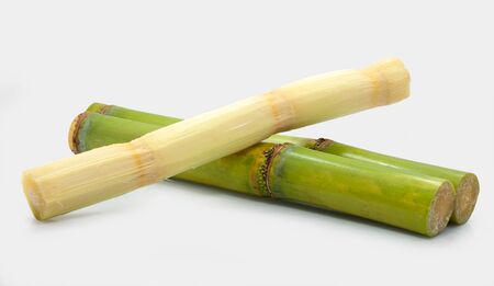 Sugar cane isolated on white backgroundの写真素材