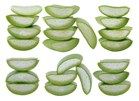 Group of aloe vera isolated on white backgroundの写真素材