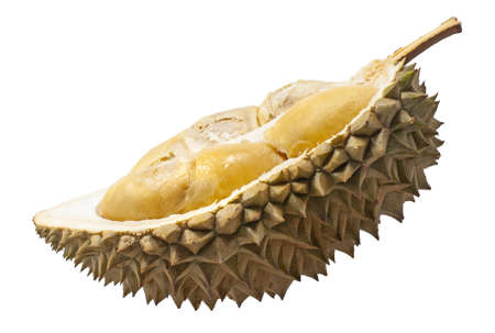Durian fruit isolated on white backgroundの写真素材
