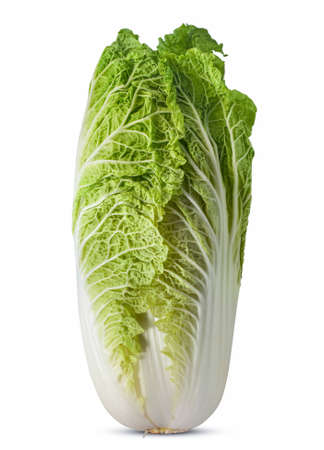 Fresh chinese cabbage isolated on white backgroundの写真素材