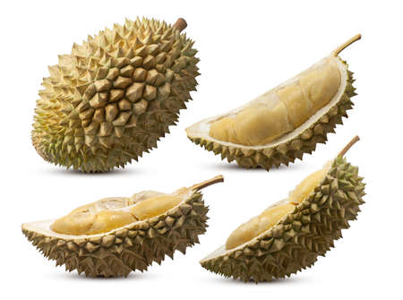 Durian fruit isolated on white backgroundの写真素材