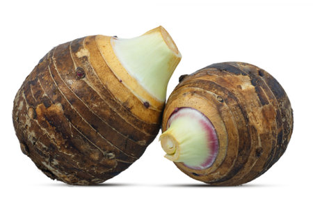 Taro isolated on white backgroundの写真素材