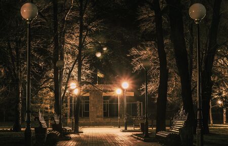 evening