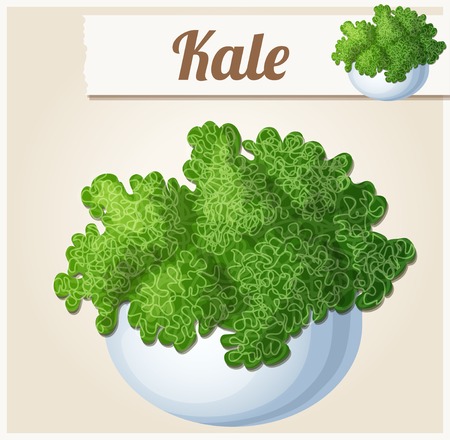Kale in bowl. Detailed Vector Icon. Series of food and drink and ingredients for cooking.のイラスト素材
