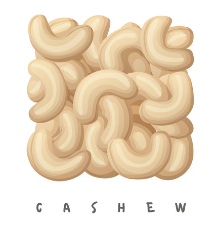 Cashew nuts square icon. Cartoon vector illustration isolated on white backgroundのイラスト素材