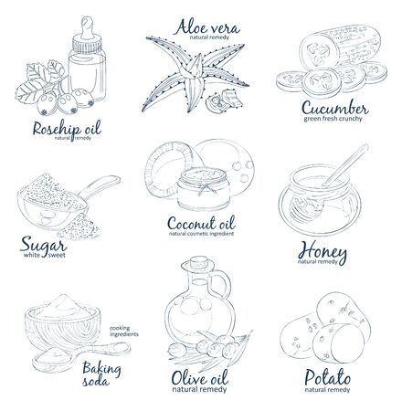 Facial mask ingredients for home face skin care.のイラスト素材
