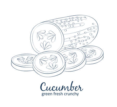 Cucumber. Cartoon vector food black and white icons. Hand drawn linear natural cosmetic illustrationのイラスト素材