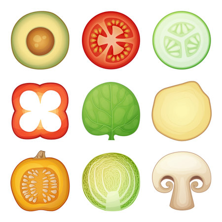 Round half vegetable slices vector icons isolated on white background. Food cuts cartoon illustrations set cucumber, avocado, pumpkin, champignon, cabbage, ginger, spinach leaf, red bell pepperのイラスト素材