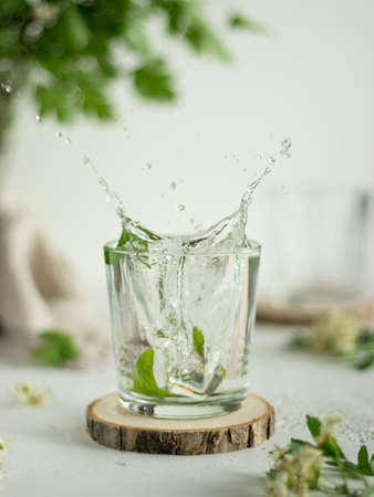 Splash of water with ice. Summer cold drink in the glass on the wooden coaster. Ice cubes with mint leaves. Green branches on the foreground and background. Refreshing cold watersの写真素材