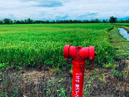 Faults connect the water supply pipe beside the rice field.