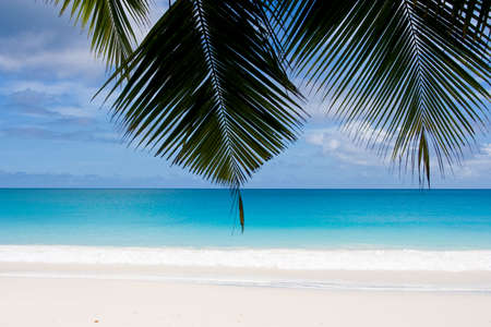 dream beach with white sandsの写真素材