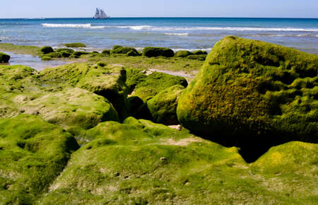 a boat in background at Portugal Algarve in the morning on green beachの写真素材