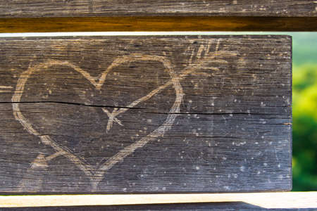 heart on wood with nice green backgroundの写真素材