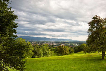 Black forrest at Germany nearly Freiburgの写真素材