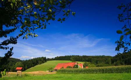 sumer landscape at Germany wiht blue sky and mountainの写真素材