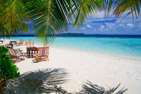 Relaxing on tropical paradise with white sand at Maldives and green palms with blue skyの写真素材