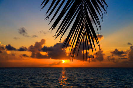 Maldivian Sunset image with nice colorの写真素材