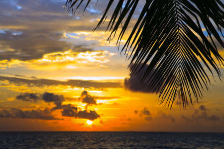 Maldivian Sunset image with nice colorの写真素材