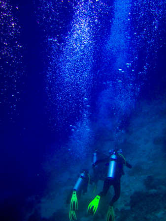 under water world at Maldives blue clear seaの写真素材