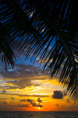 Maldivian Sunset image with nice colorの写真素材
