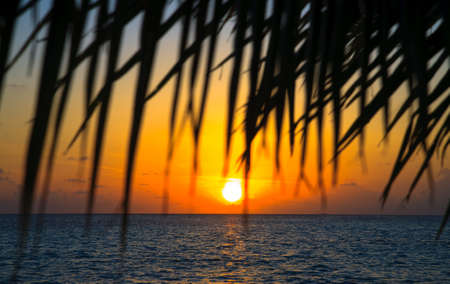 Maldivian Sunset image with nice colorの写真素材