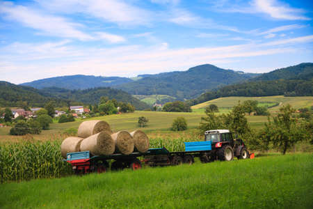a farmer driving throw corn field under bug blue skyの写真素材