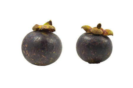 Mangosteen fruit on white.の写真素材