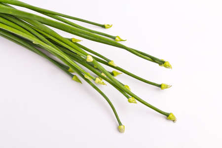 Onion on a white background の写真素材
