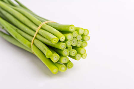 Onion on a white background の写真素材