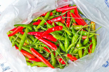 Green and red peppers の写真素材