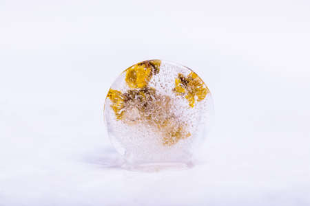 Frozen flowers の写真素材