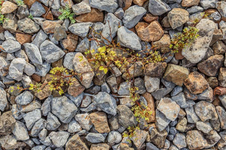 stone blocks with grass