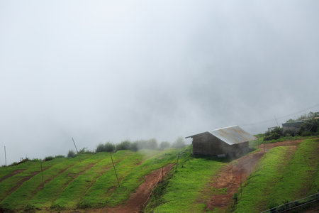 Cottage and Fog Phu Thap Boek Phetchabun  Thailand.のeditorial素材