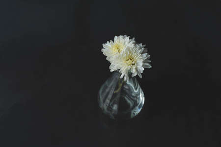 Flowers in a vase are placed on a black table.の写真素材