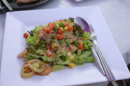 Tuna salad.の写真素材