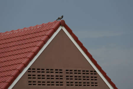 Red and brown roof shingles of house.の写真素材