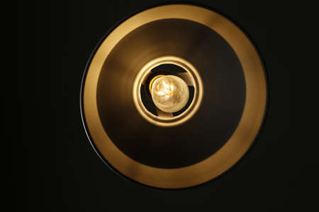 Vintage incandescent Edison on back background.