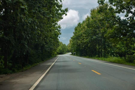 A forest along a bend empty road