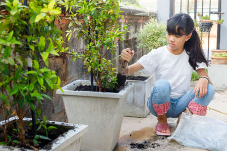 The girl is shoveling the soil for the tree.の写真素材